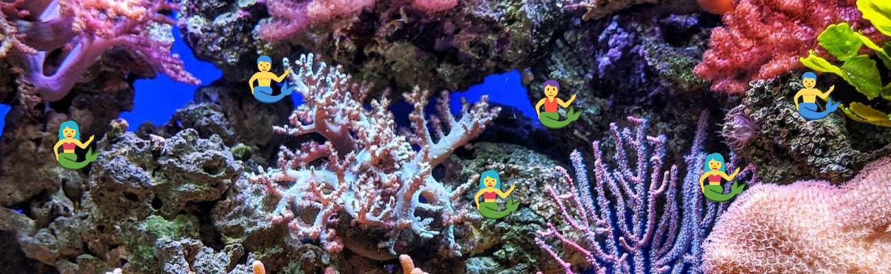 Image of a set of coral, under the sea, with a bunch of mermaid emojis